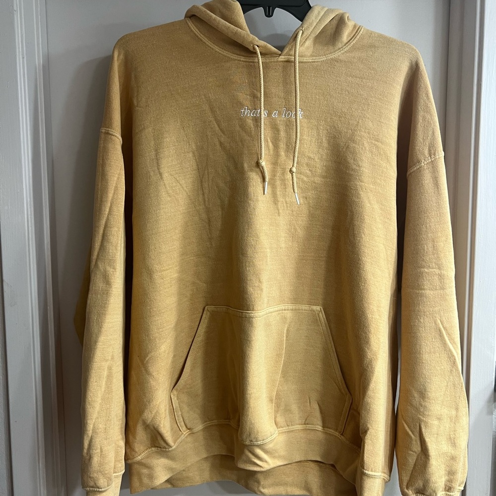 Pacsun Mens Fleece Hoodie